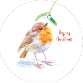 Luxury RSPB Charity Christmas Cards - Inquisitive Robins - Pack of 10